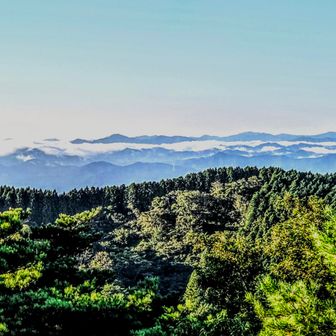 護摩壇山方面