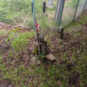 ここが山頂ですね