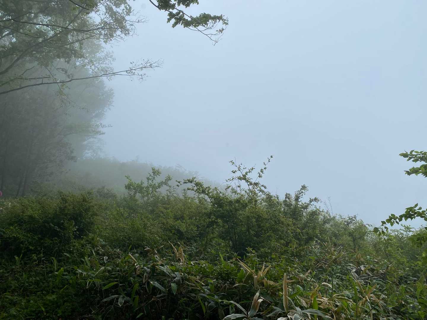 日山 周回コースの写真