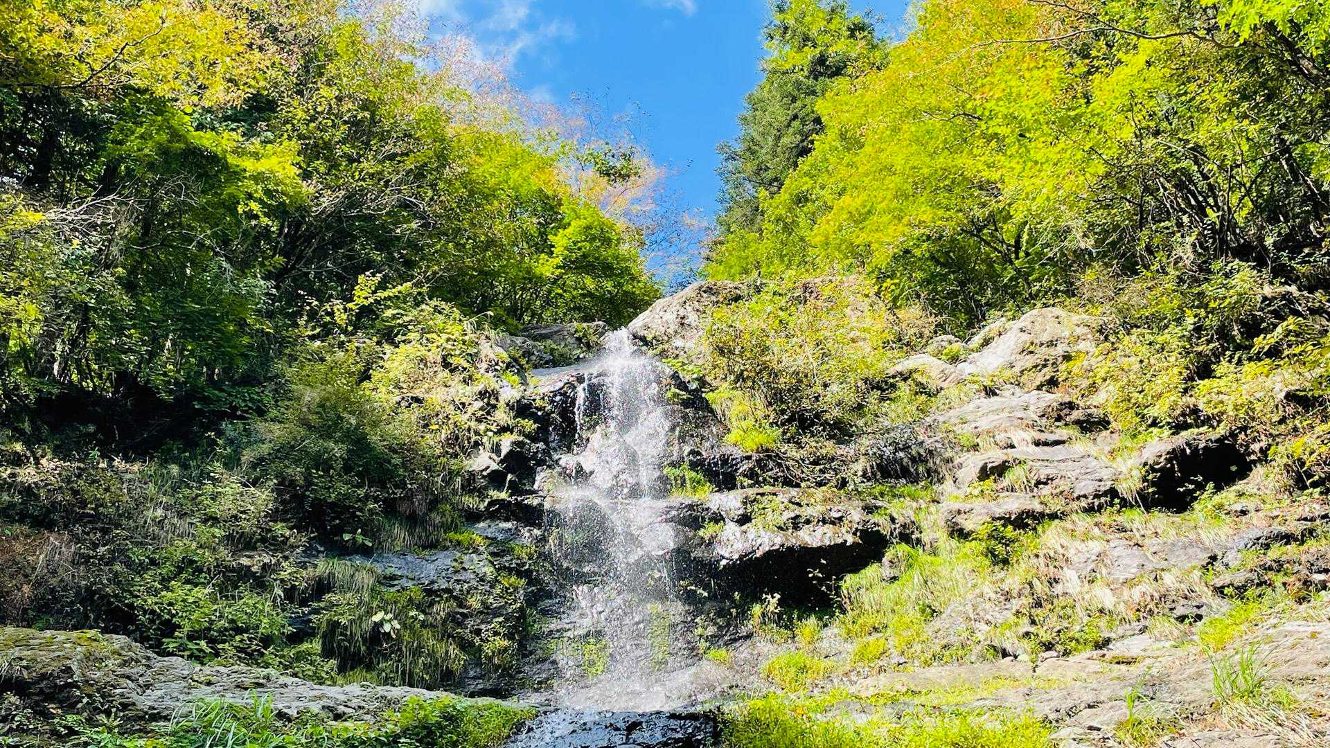 まだ夏。
