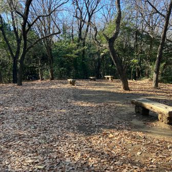 ここが西の山山頂。