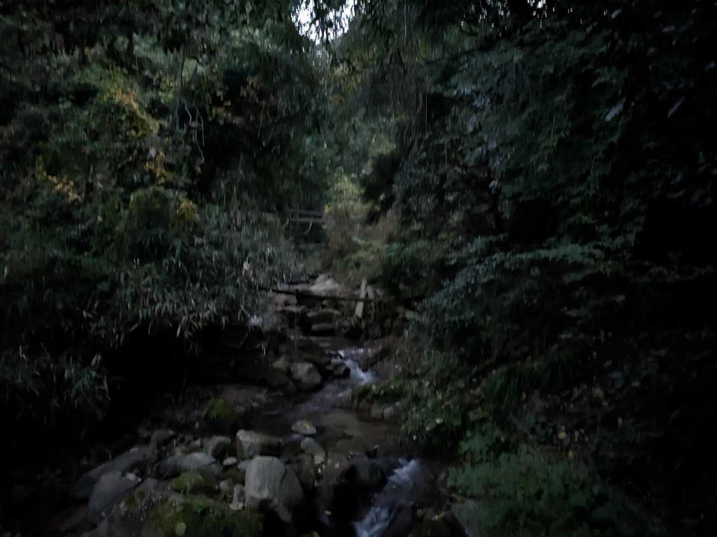 九千部山-五ヶ山 周回コースの写真