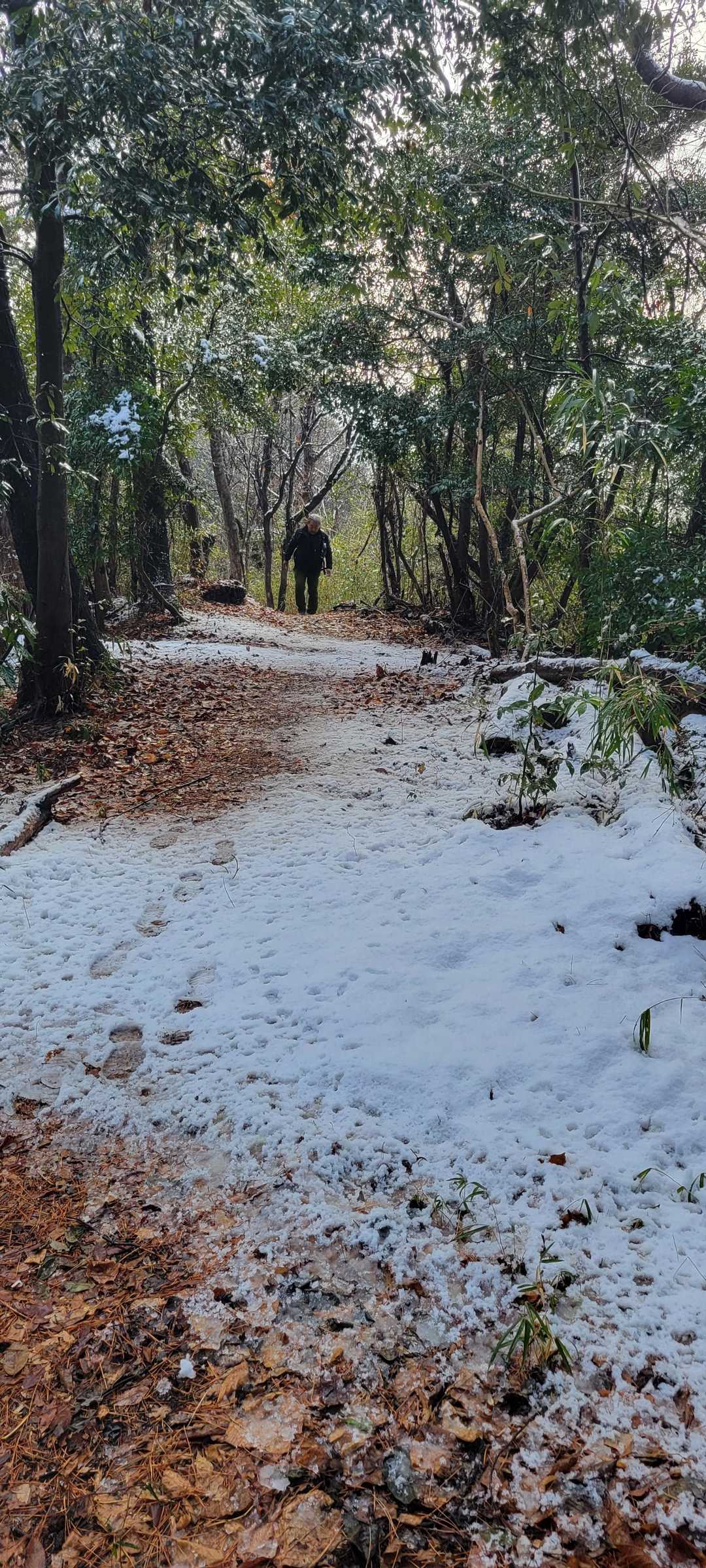 雪が残ってるー

溶けた雪が落ちてきて
まるで雨や雪が降っているかのよう