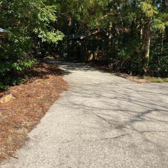 林道〜てくてく(ง ˙ω˙)ว