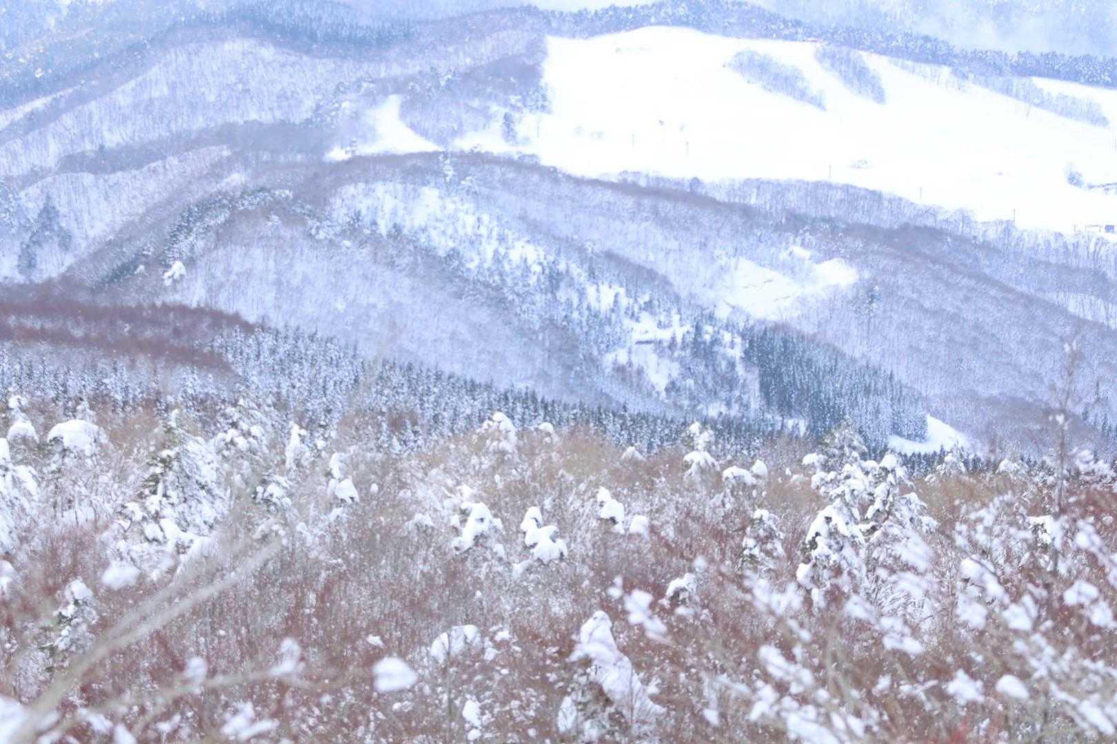 遠くに
登山口の天童高原スキー場👀

美しい光景
ありがとうございました😊