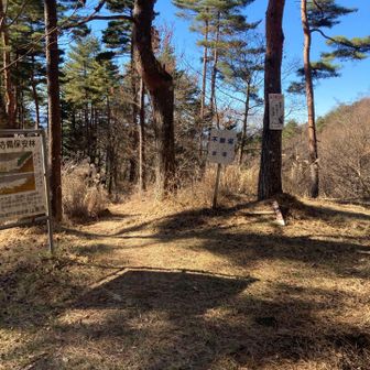上部の駐車場。