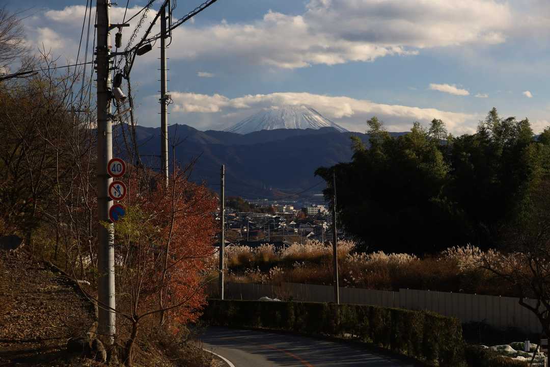 富士山が見える
