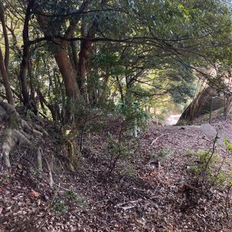 唐突に階段が現れて🅿️がすぐそこ