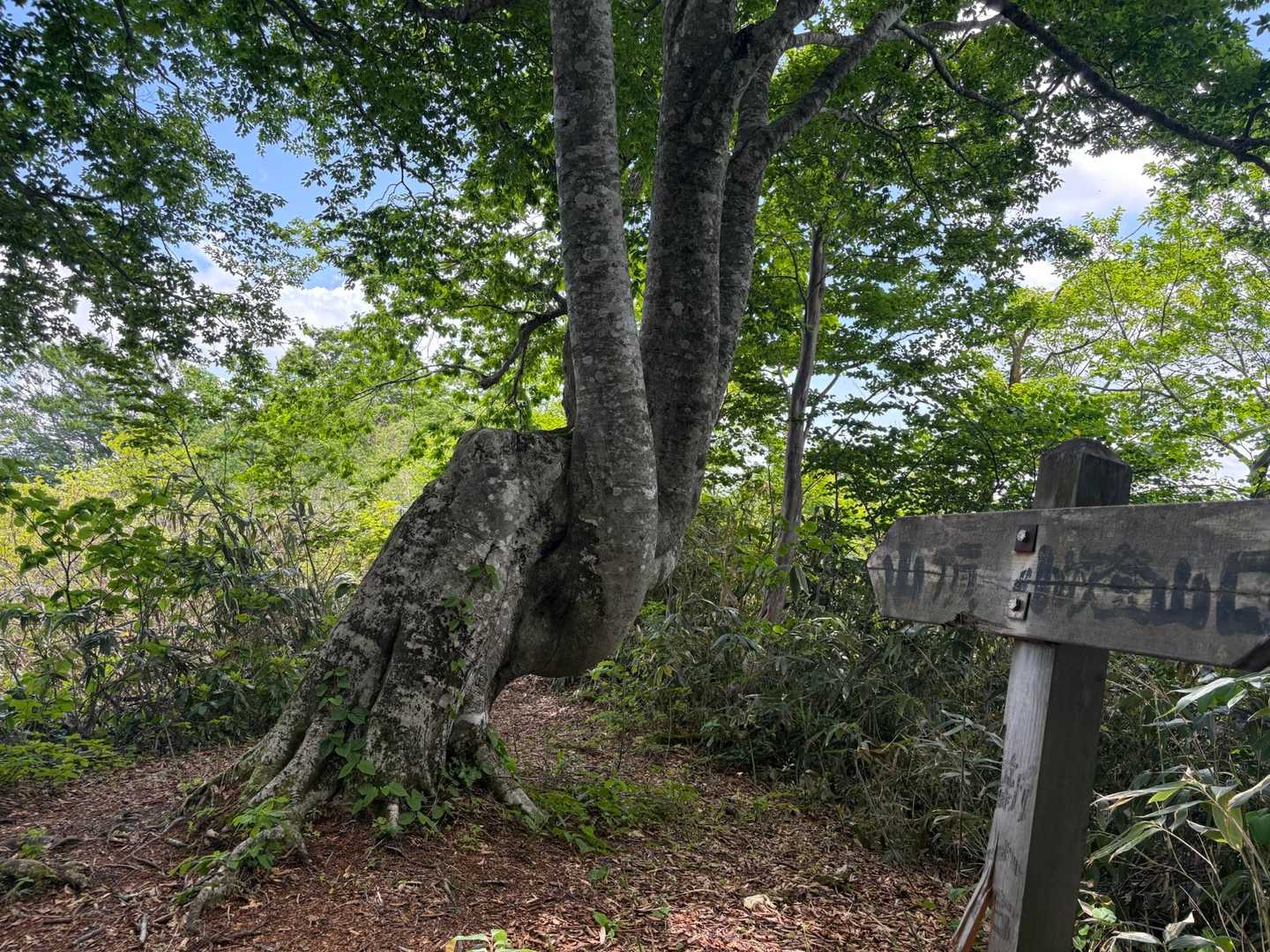 帰りに記念撮影お願いします😊