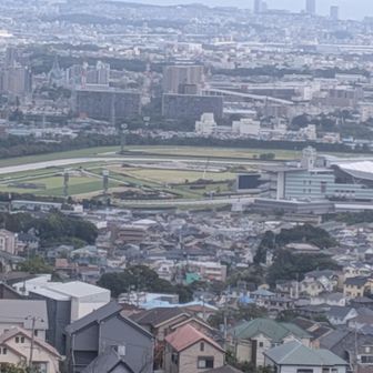阪神競馬場も🐴
