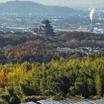 メガソーラーと🏯