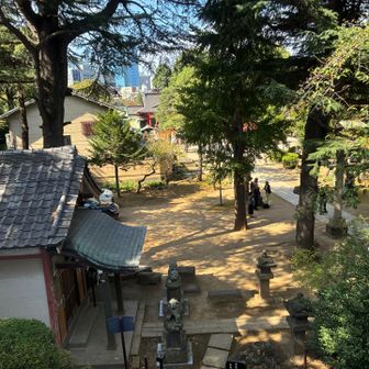 ピークからの景色