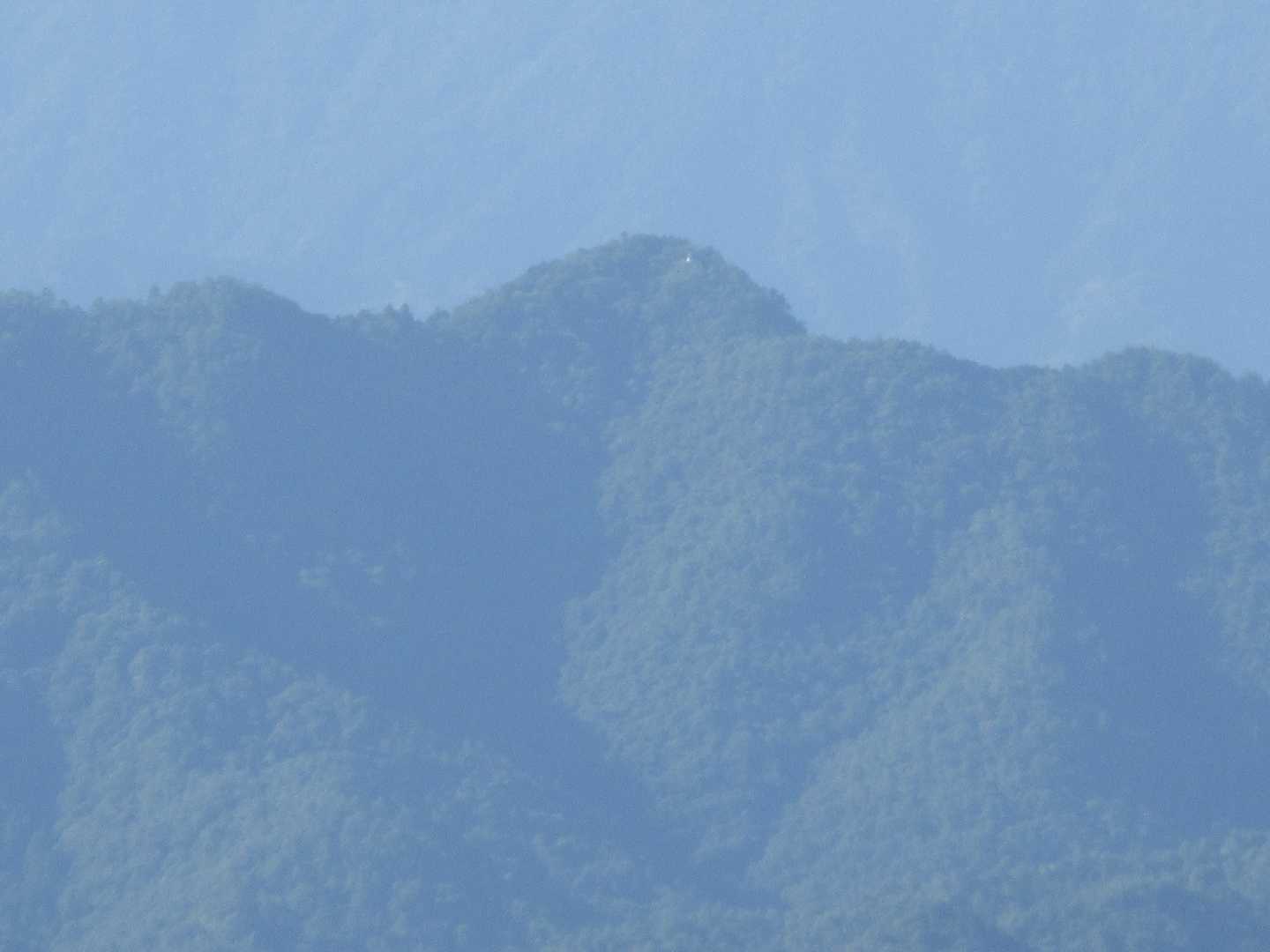 山県市の古城山（山頂にお城が見える）