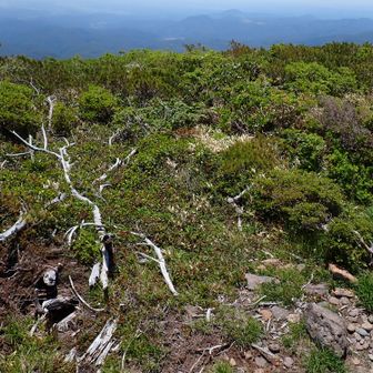 三角点から登山道に出て、その辺りを撮る