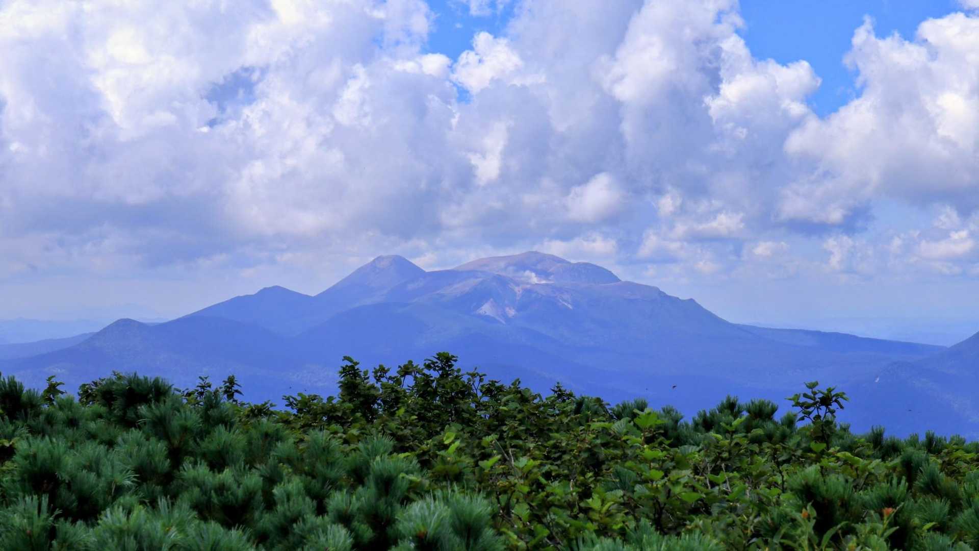 雌阿寒岳🤍