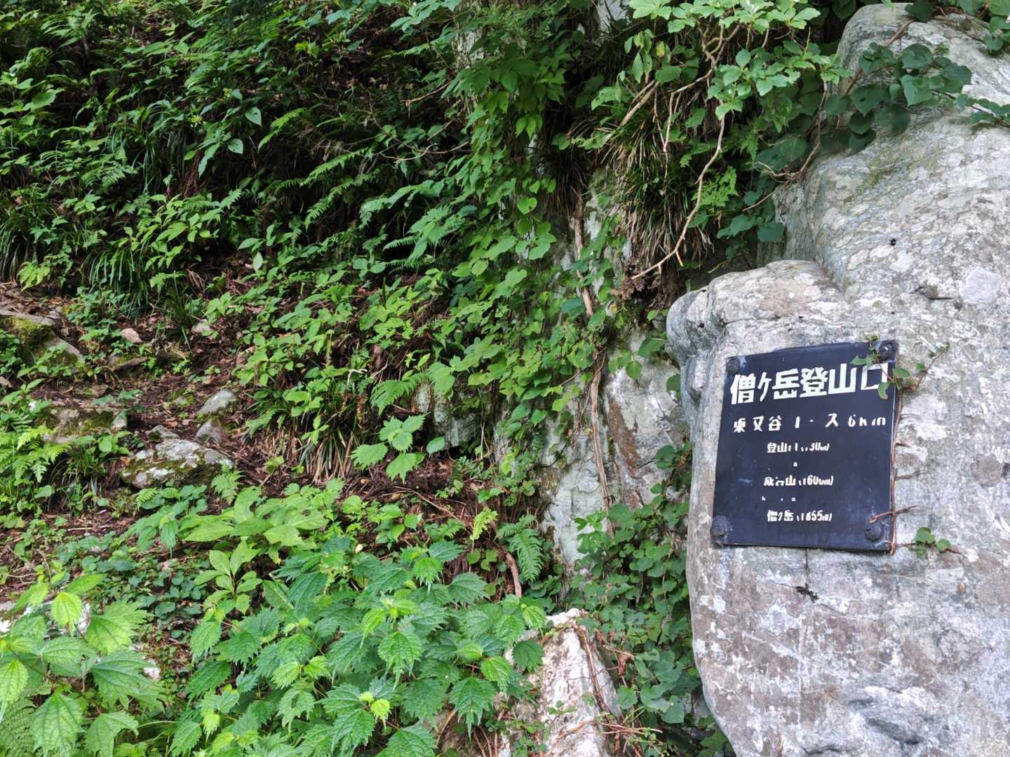 伊折山-成谷山 -僧ヶ岳 往復コースの写真