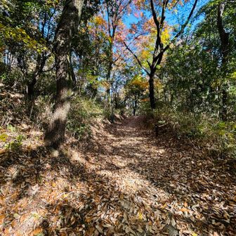 やがて山の中に。