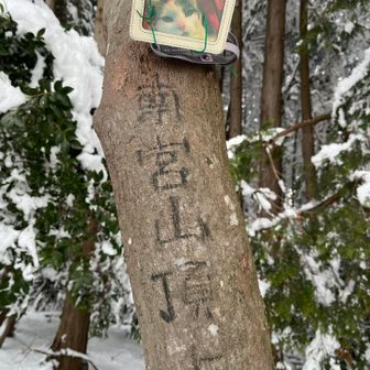 今日は南宮山まで来ました⛰️