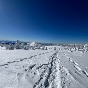 ここ気持ちいい！