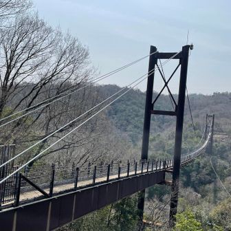 長ーい橋をとりあえず半分歩いて楽しむ♪
土曜日なのに空いてる✨前は観光客多すぎて橋が揺れてたなあ🫨