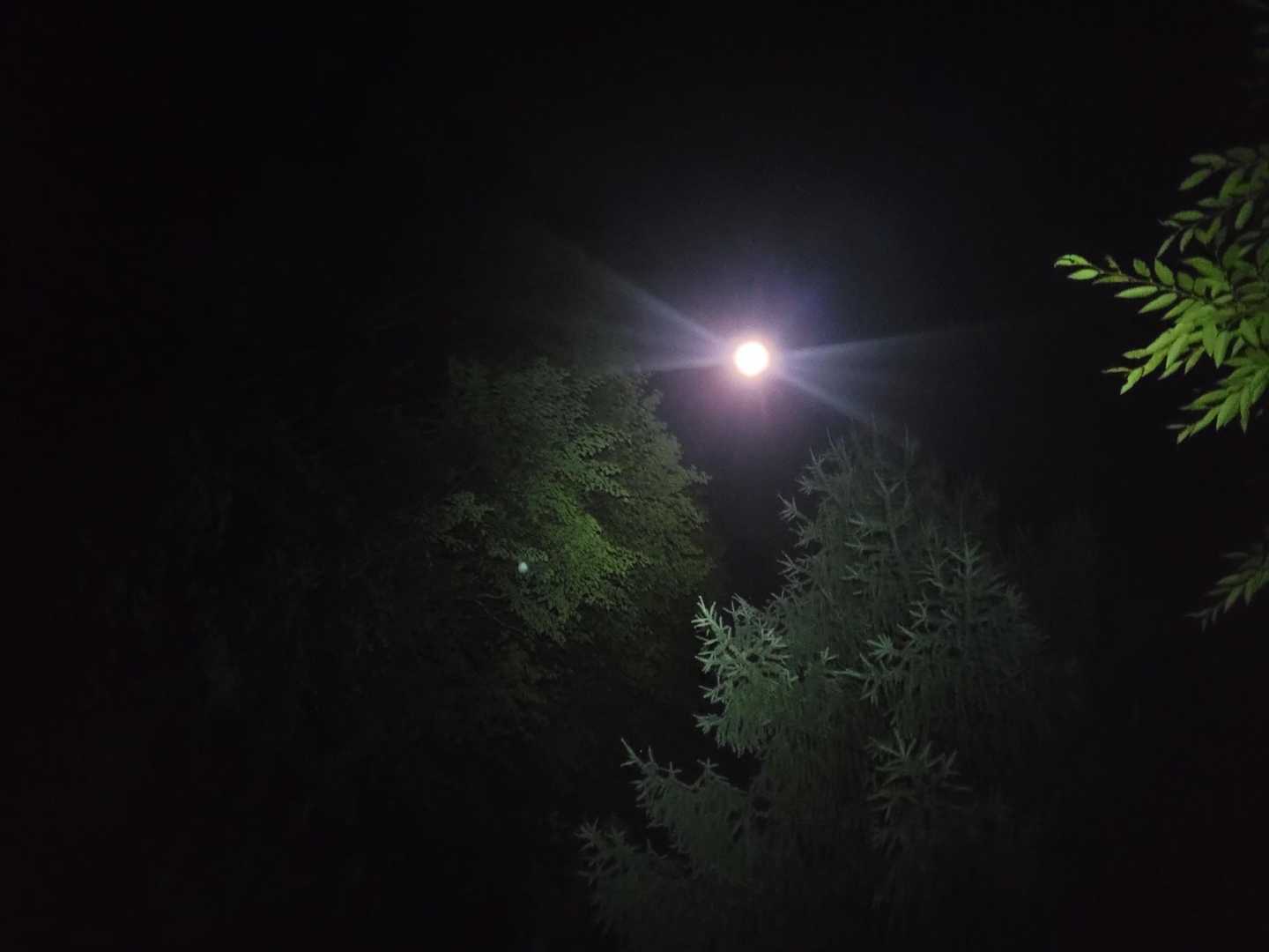 月あかりが嬉しいね✨🌝