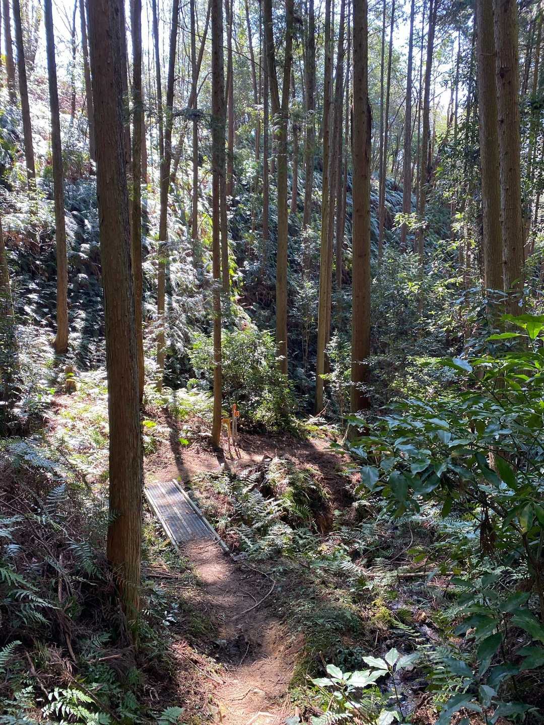栗栖バス停-栗栖神社-桃山ルート入口-桃山-天神山-東山- 周回コースの写真