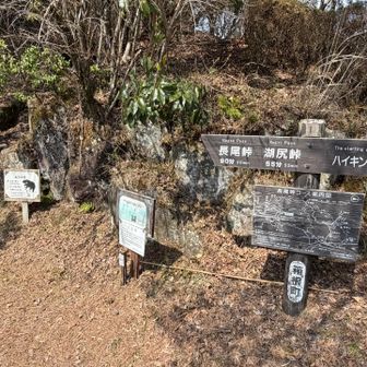 下山。ここからは一般道で車まで戻ります。
