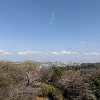 都心方面の高層ビルが見える。スカイツリーも見えるらしい🫢