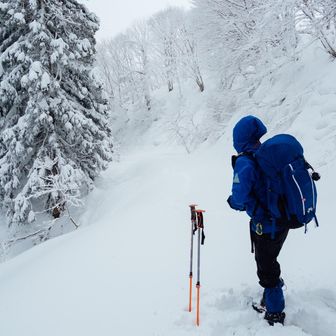 本日のリーダーのぶさん

いつも、撮らないでと、控えめ
