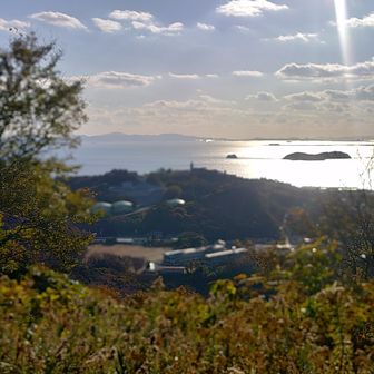 三谷の弘法さんが見えた～
ここで折り返します～