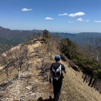 下山しまーす
