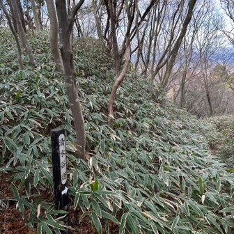 ここから今日の出発地点に戻れる