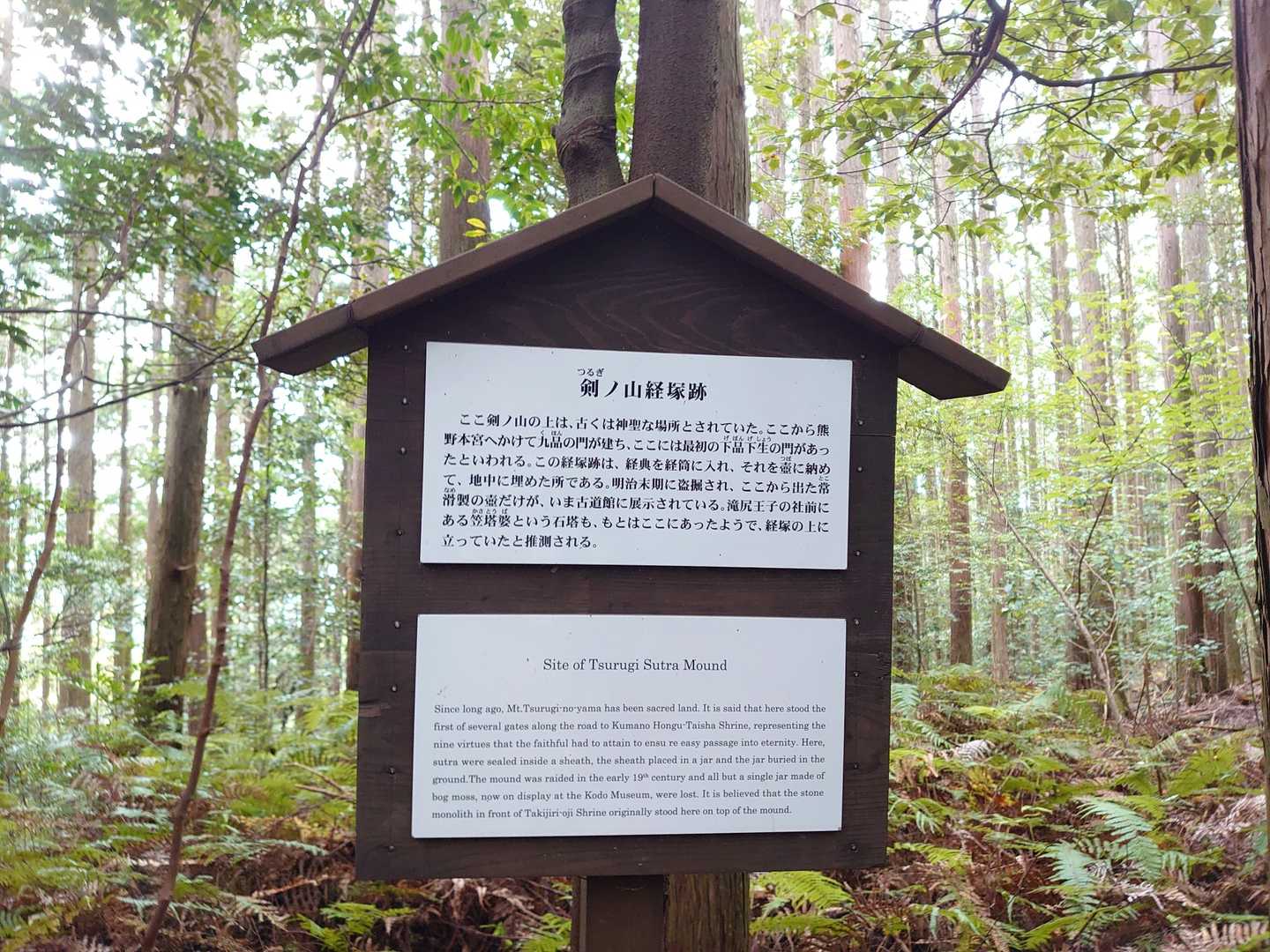 滝尻王子-不寝王子-剣ノ山-高原熊野神社 往復コースの写真