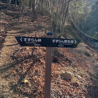 ほぼほぼ到着。