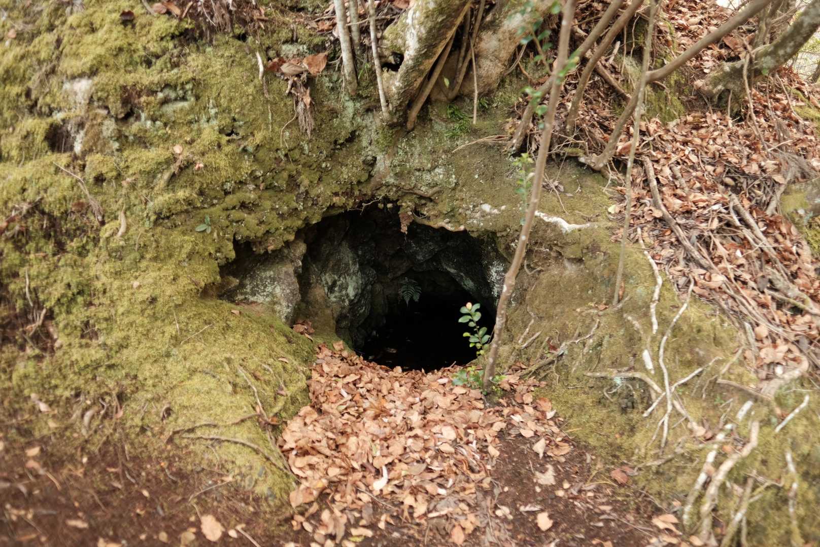 北曲輪群堀切脇にある洞窟。姫の洞窟といわれ落城時に姫がここから逃げ延びたと伝わる。不思議だが他の堀切脇にも洞窟があった。城内に井戸が見当たらないので水瓶のように思う