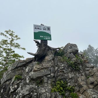 生憎の天候で両神山の山容を見ることはできなかったが、登山道の荒々しい岩をみるにこの山が峻険であることは想像に難くない。