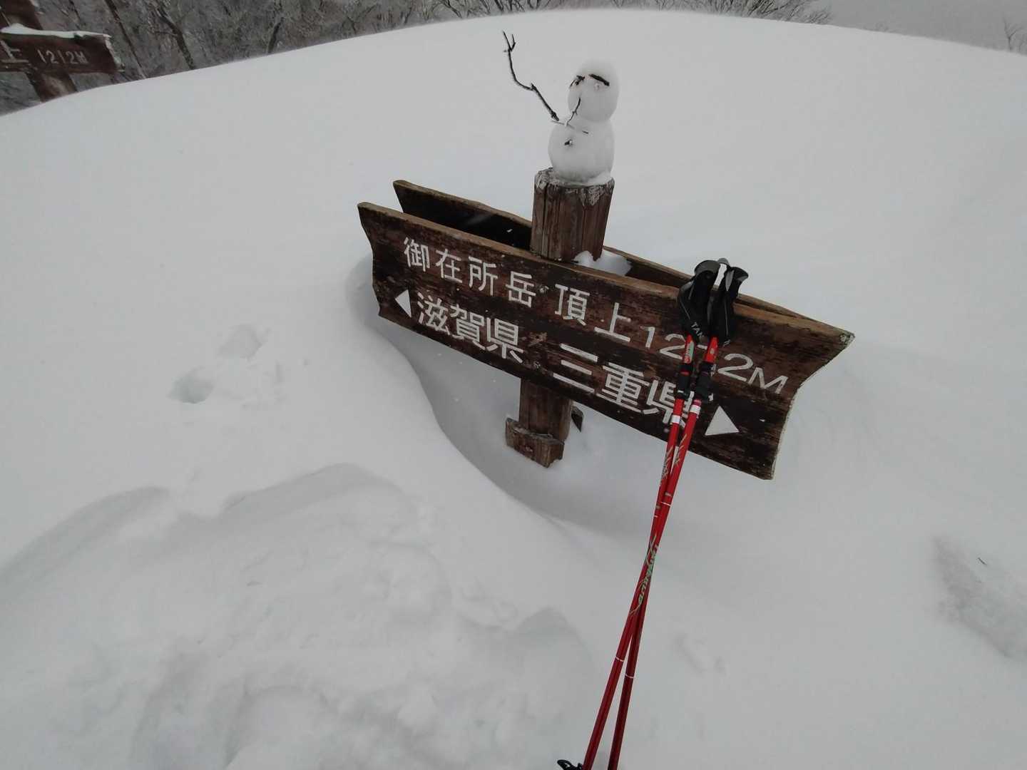 雪❄多し