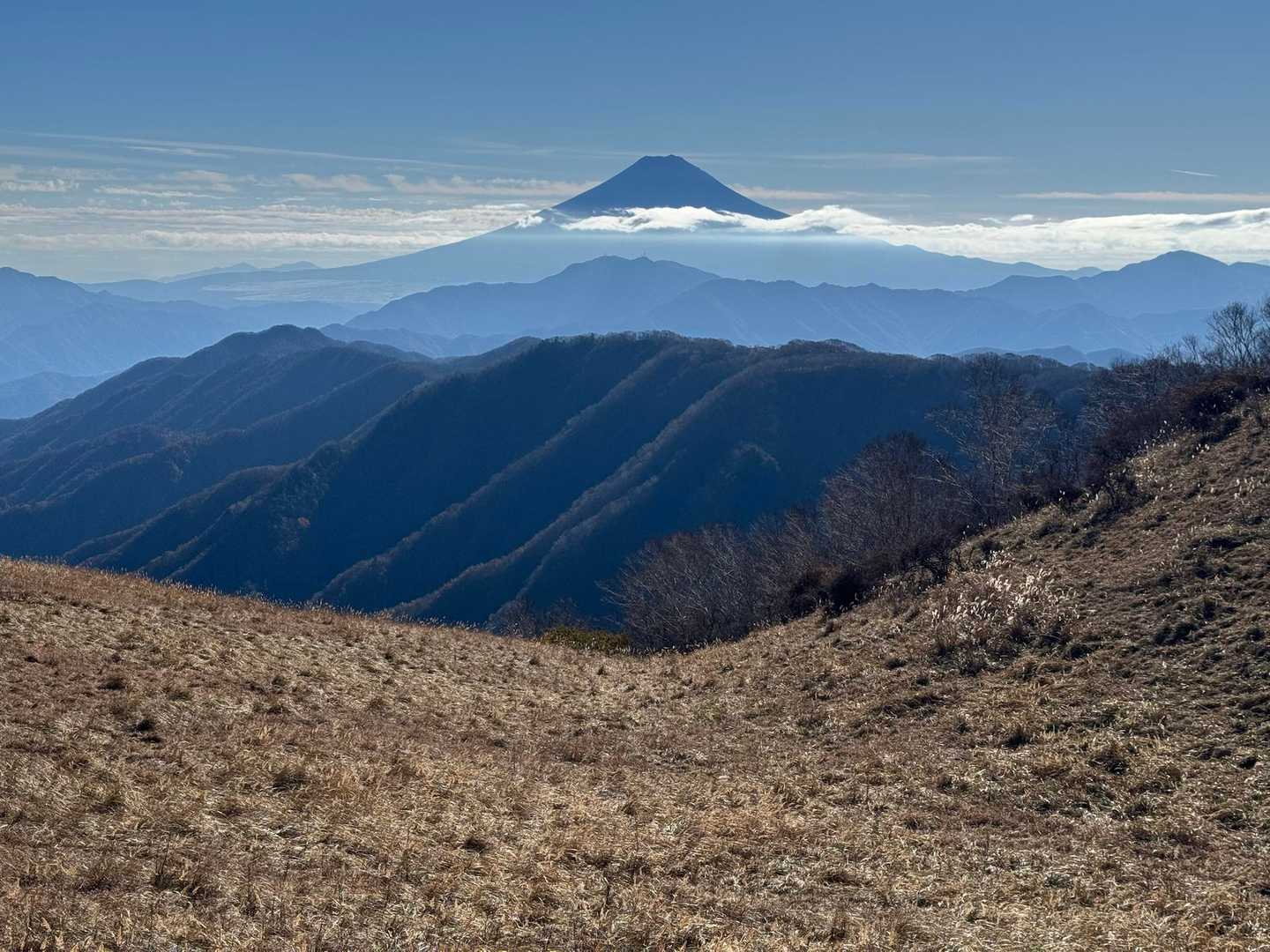 湯ノ沢峠登山口-湯の沢峠-白谷小丸-大蔵高丸-ハマイバ丸 周回コースの写真