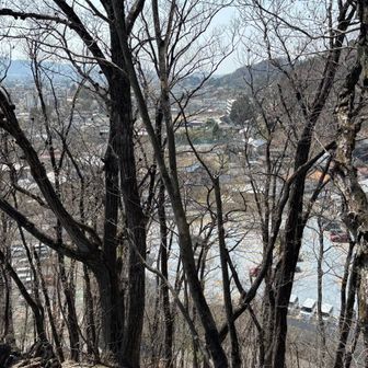 一気に急登登って
振り向いてパチリ