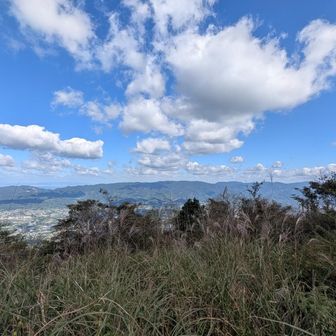 景色もキレイ