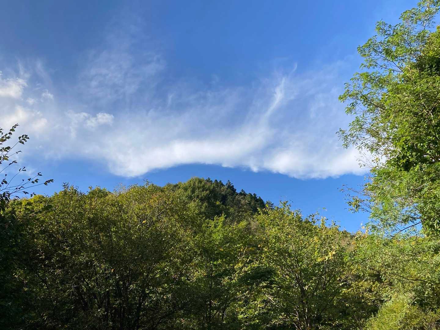 白旗山 往復コースの写真