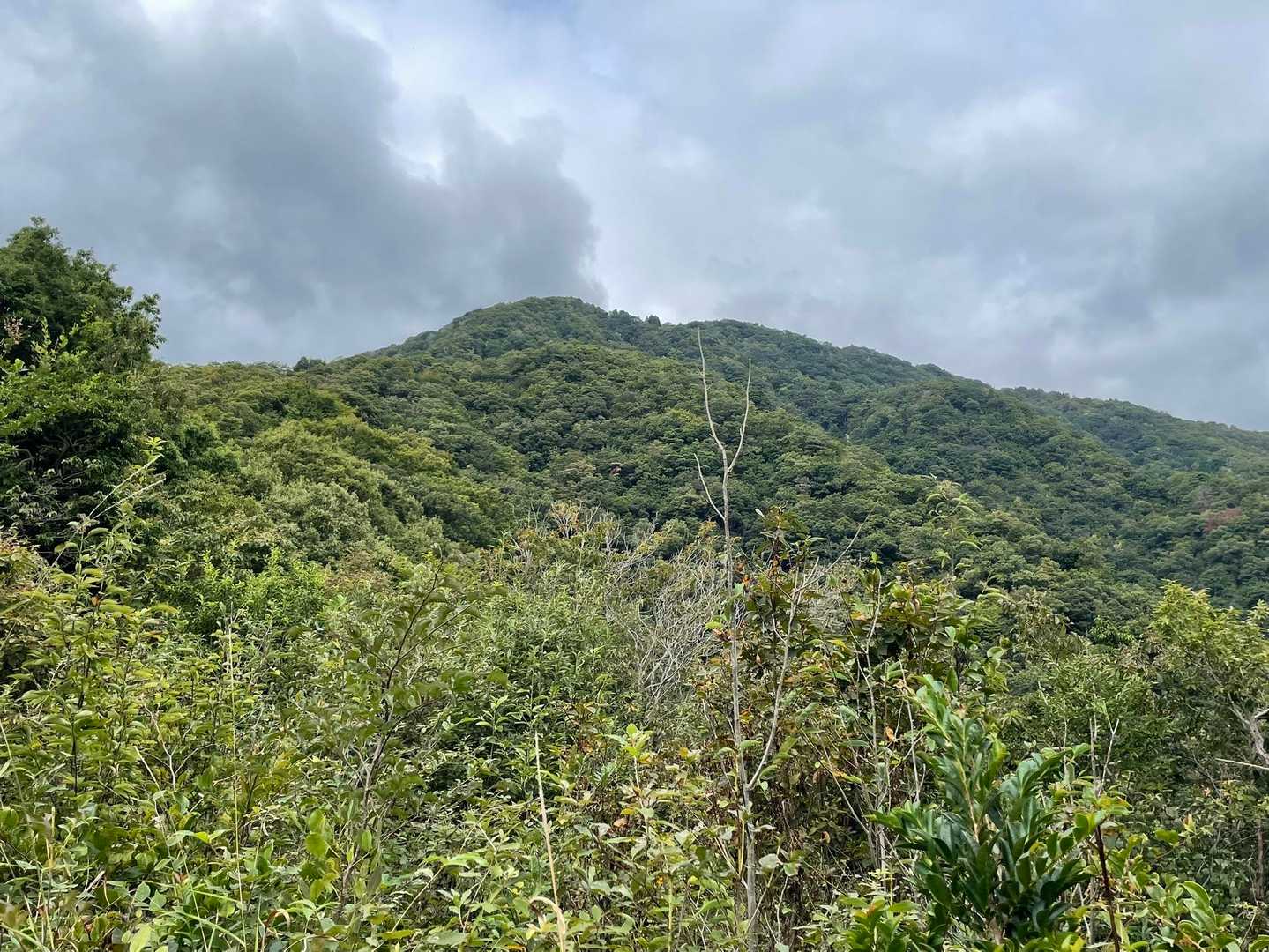 西方ヶ岳 山頂