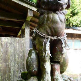 （吽）左脚が痛そう
痛みを堪えてる感じ😖