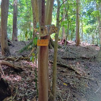 薬師峠..六地蔵さまも鎮座され..
此処に墓所も..水源を穢さない様 離れて 
逆方向に築いてる..そうです🙏

此処で卸したてのゲイター装着して靴(予め朝にも)にも忌避剤をタップリ..

