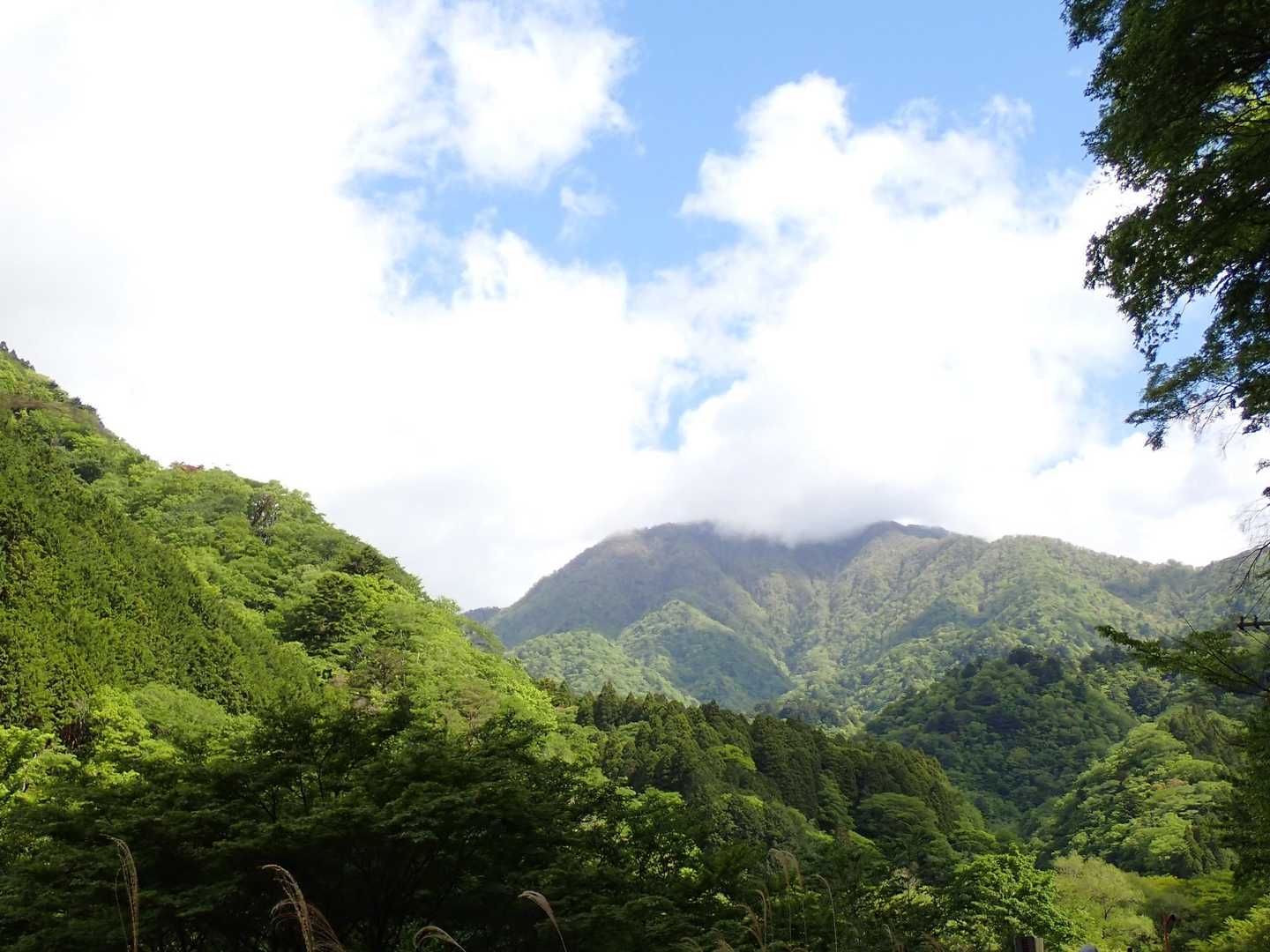 大室山上空に湧き上がる雲。
今日はいい天気だと思って来ていますよ👻🎶