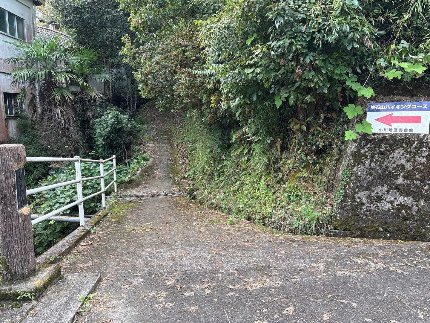 ここから山の中へ💨