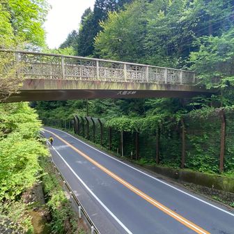 甲州街道の陸橋を渡って高尾山方面ヘ