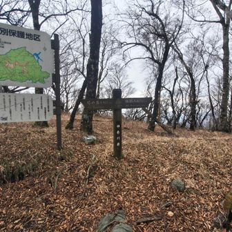 小丸とうちゃく！1341m