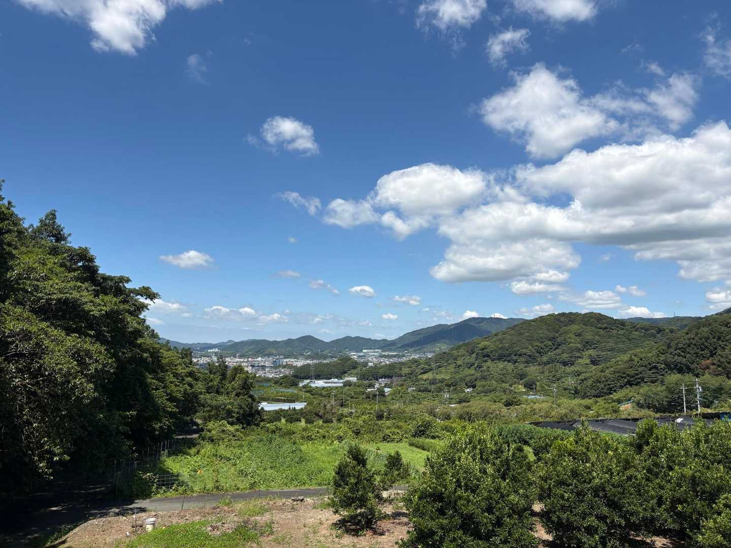 良き天気である☀️