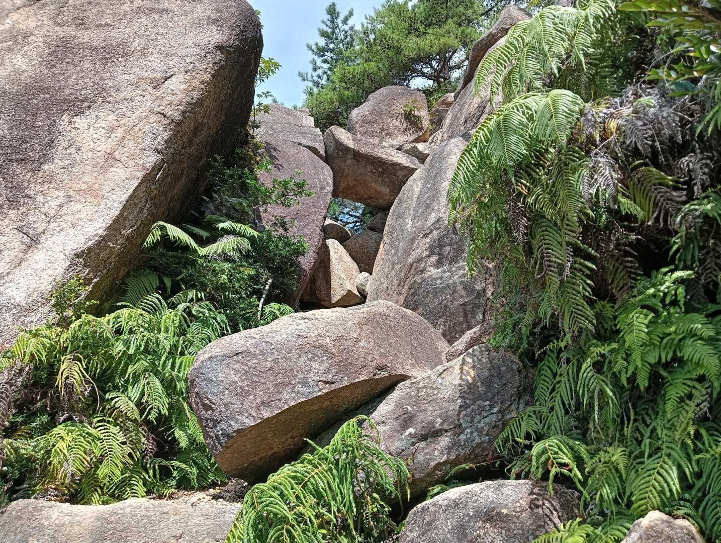 芦屋川駅-城山登山口-鷹尾山-荒地山-東おたふく山登山口バ 縦走コースの写真